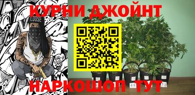 тгк Будённовск